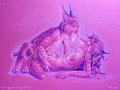 1330413206.olven_olv_bobcatinside2.jpg
